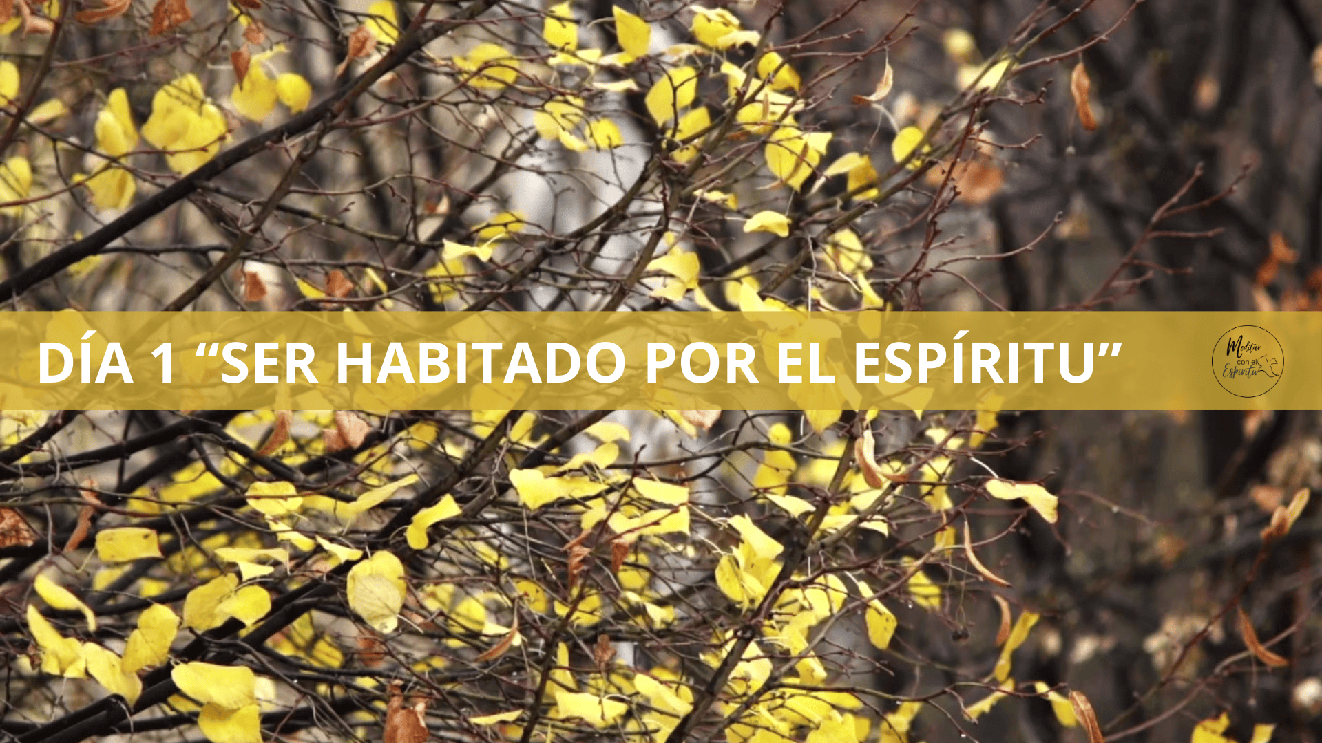 DÍA 1. SER HABITADO POR EL ESPÍRITU