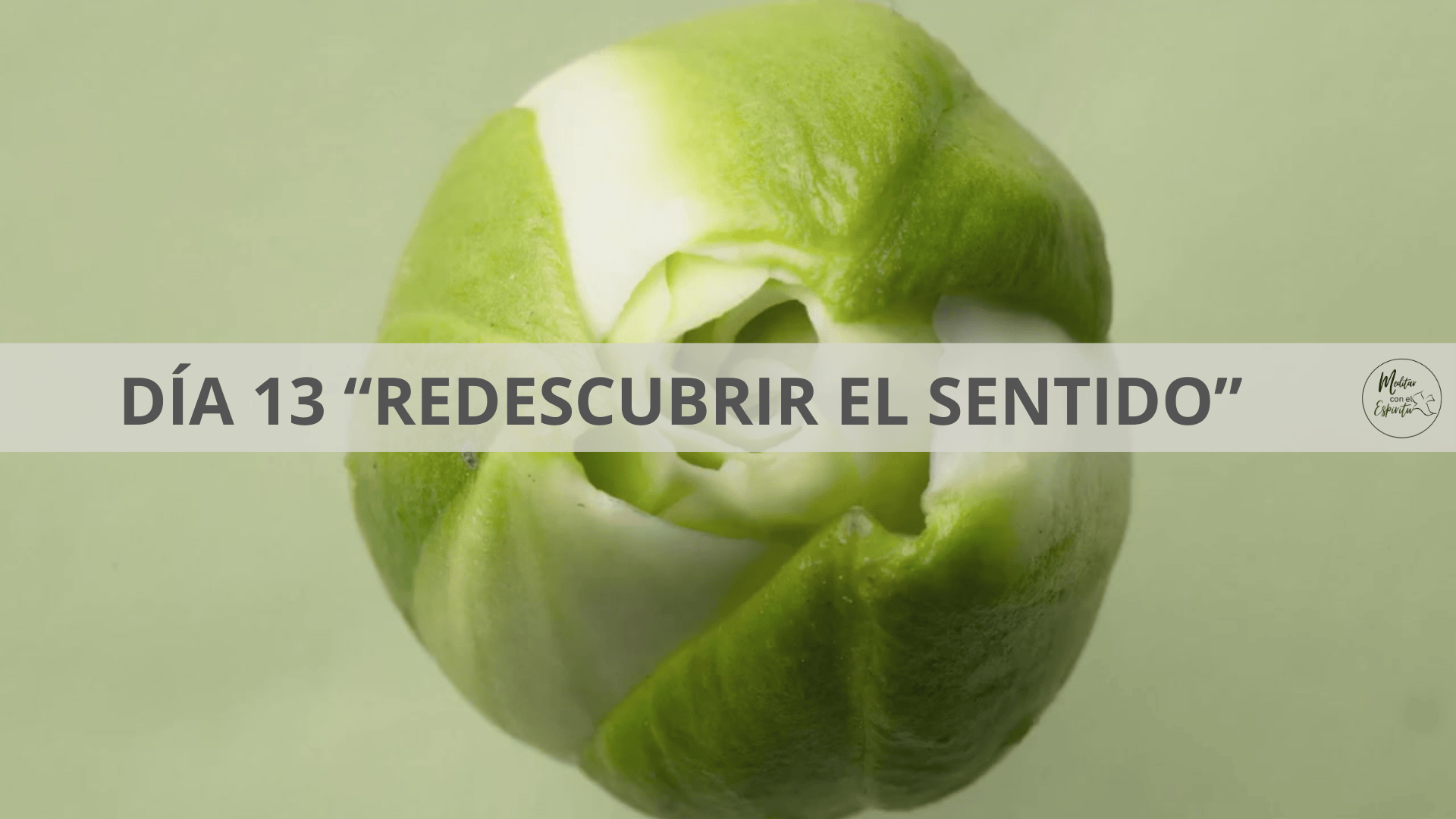 DÍA 13. REDESCUBRIR EL SENTIDO